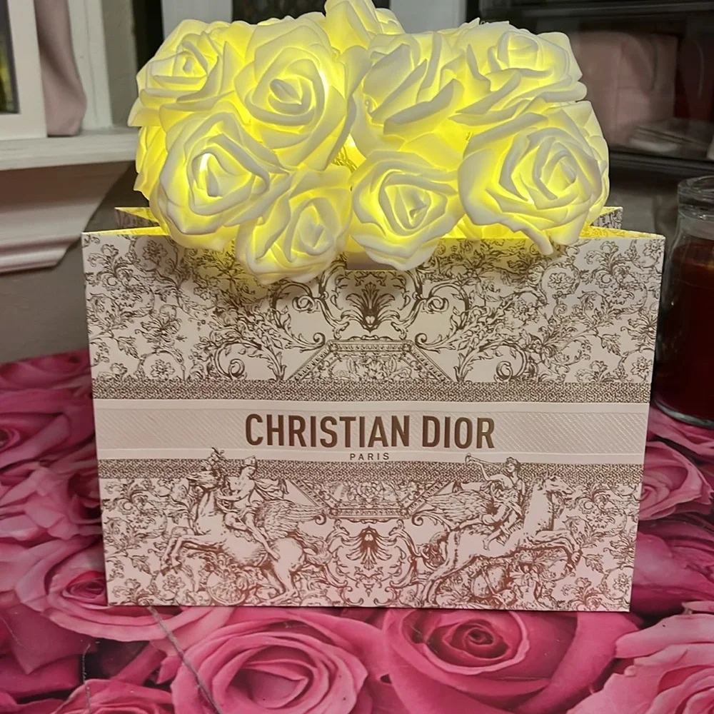GlammitCreations Light Up Rose Arrangement in Dior Holiday Shopping Bag - Picture 1 of 12